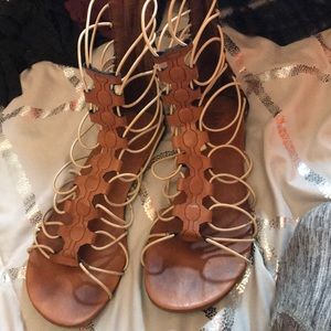 MIA gladiators! Super cute